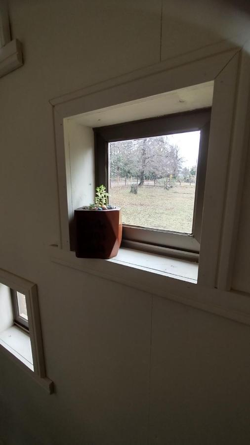 Apartamento Pinon House *
