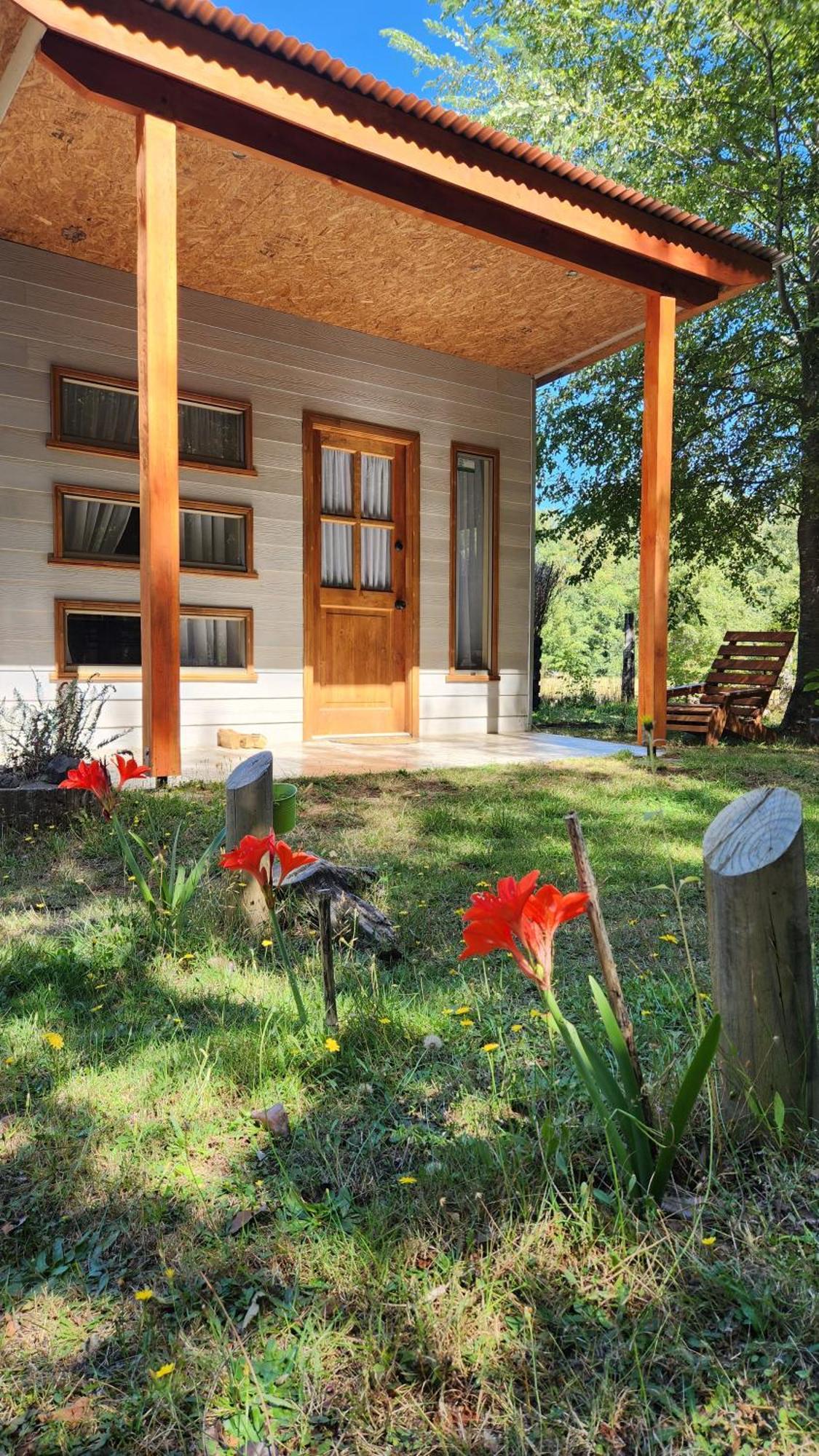 Apartamento Pinon House