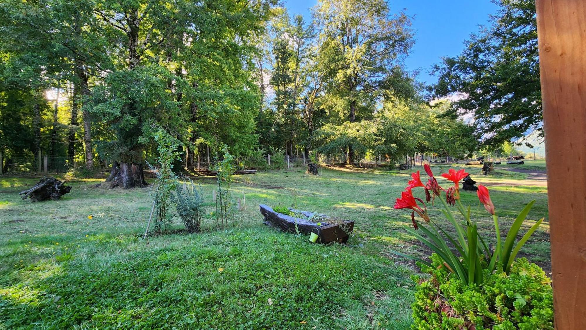 Pinon House *